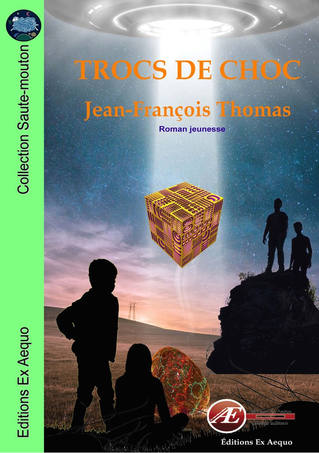 Couverture de Trocs de choc, de Jean-François Thomas