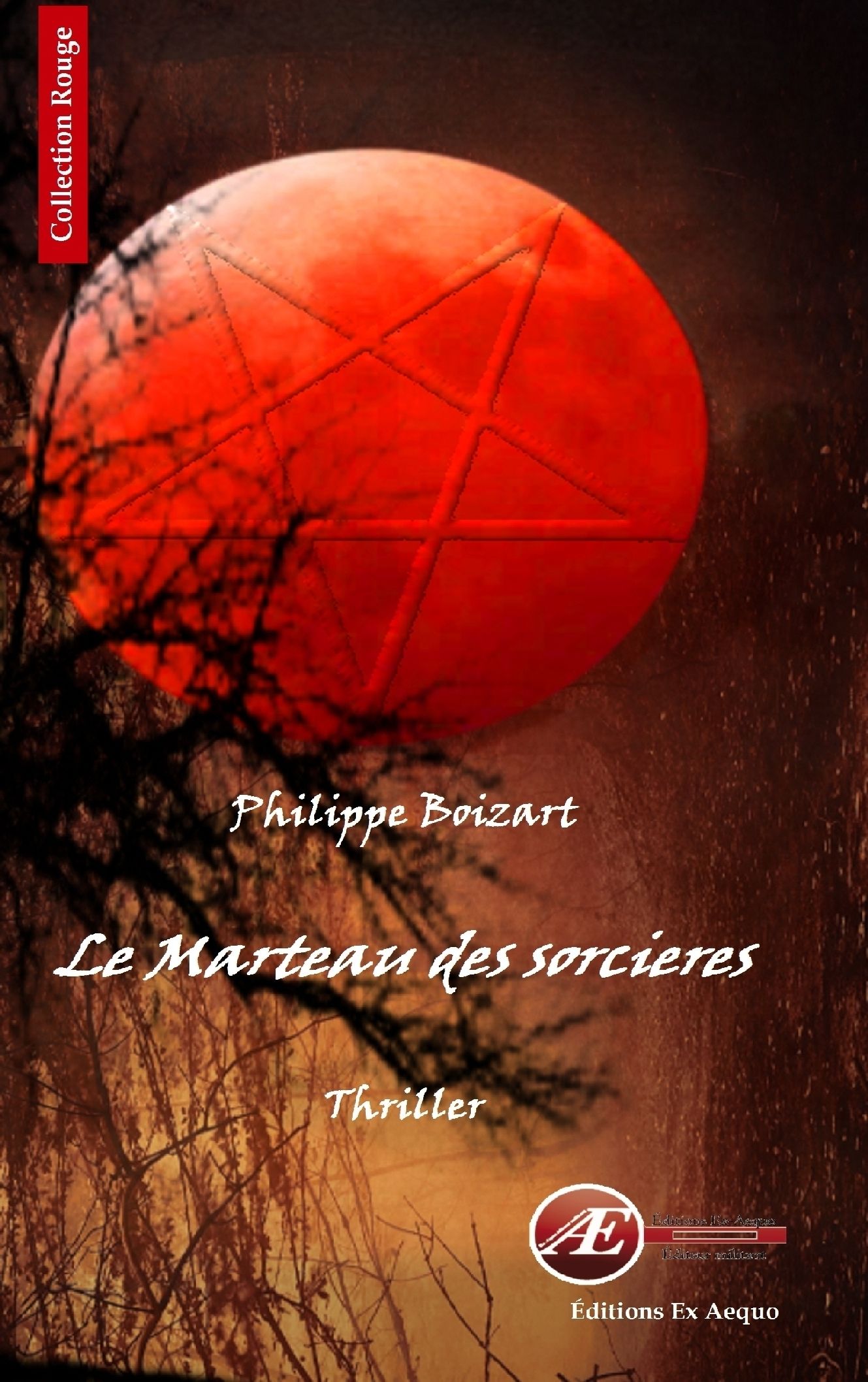 Couverture de Le marteau des sorcières, de Philippe Boizart