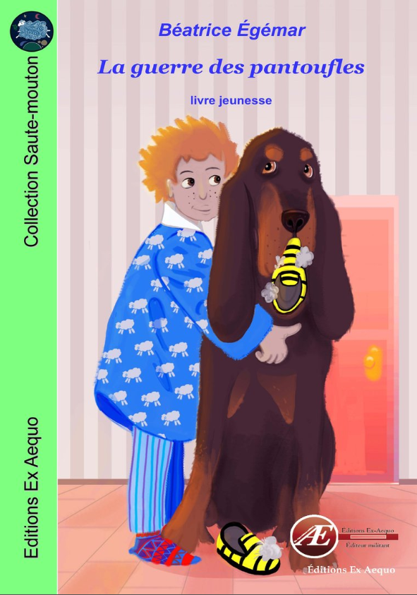 Couverture de La guerre des pantoufles, de Béatrice Egemar
