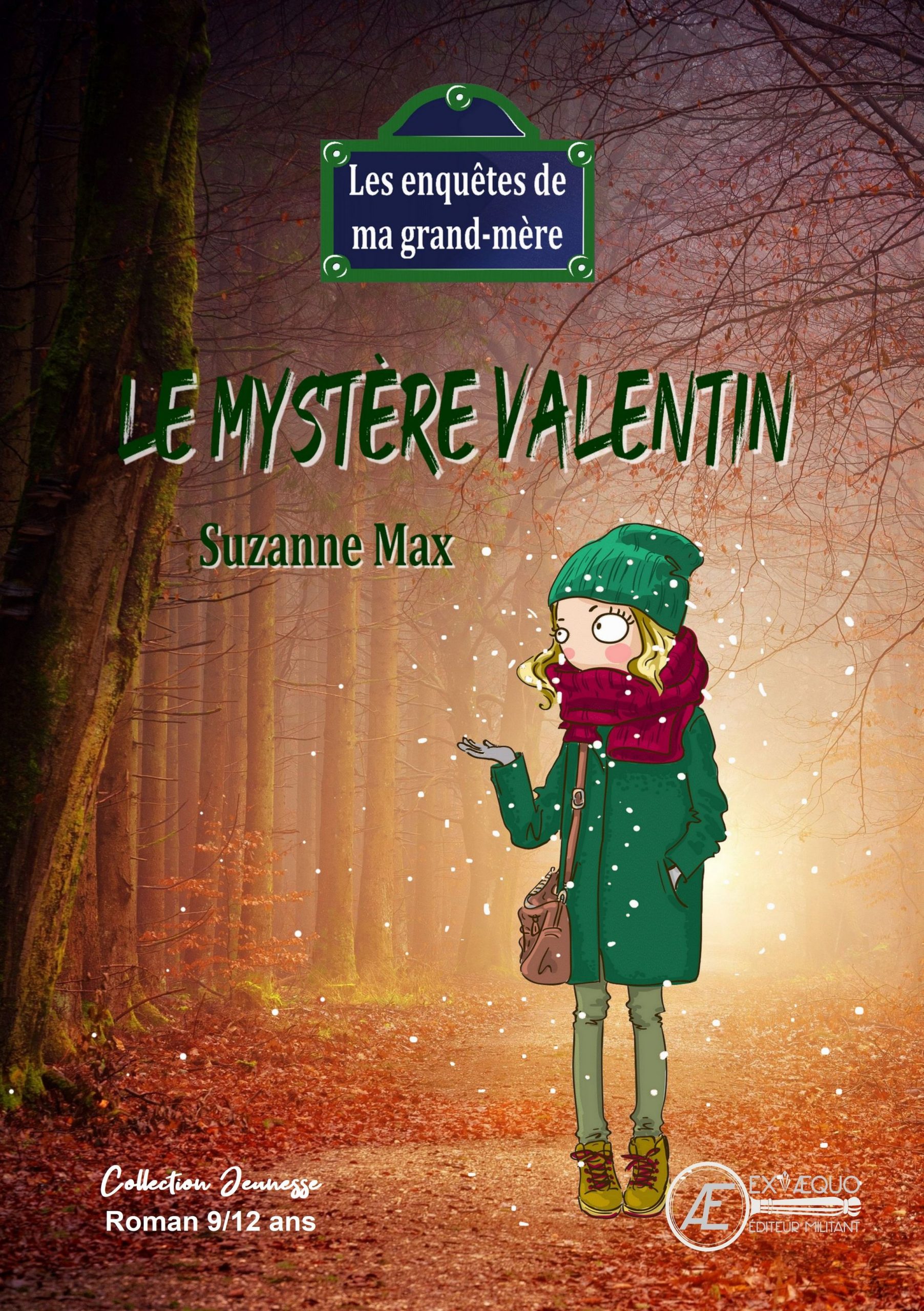 Couverture de Le mystère Valentin