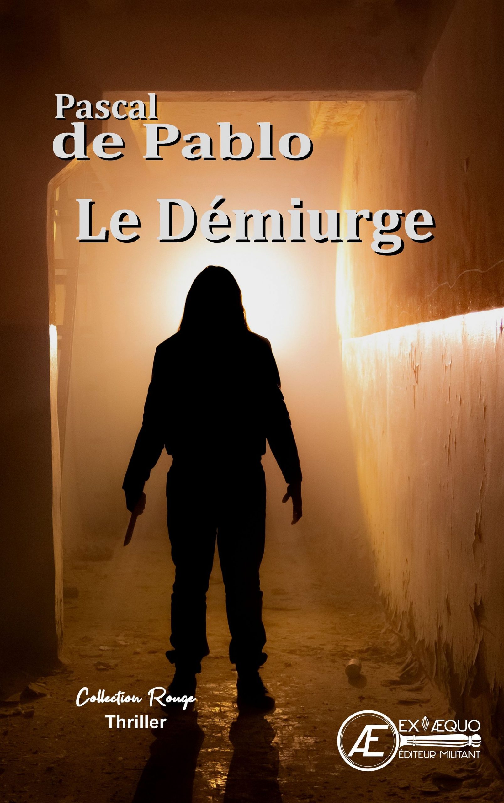 Couverture de Le Démiurge, de Pascal de Pablo