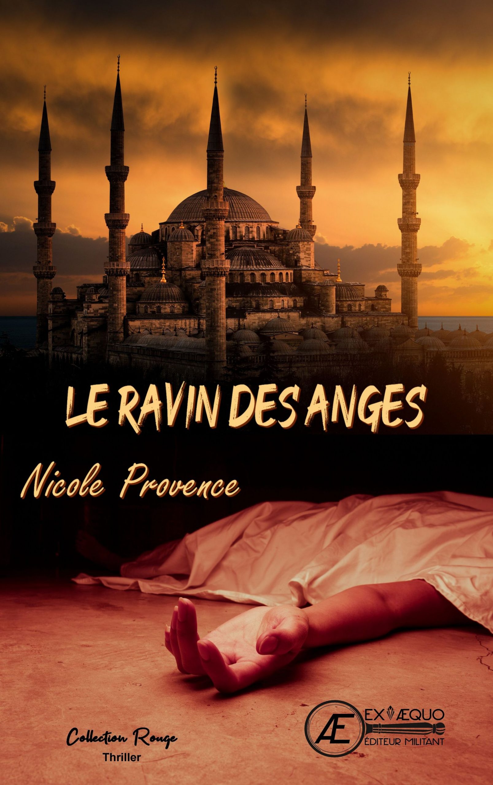 Couverture de Le ravin des anges, de Nicole Provence
