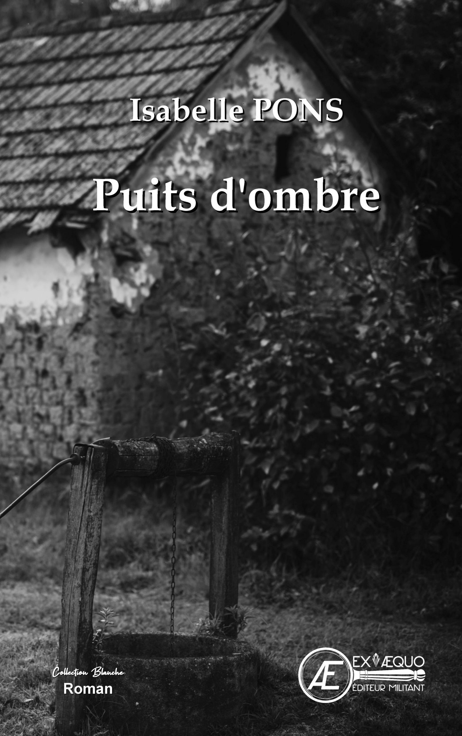 Couverture de Puits d&rsquo;ombre, d&rsquo;Isabelle Pons