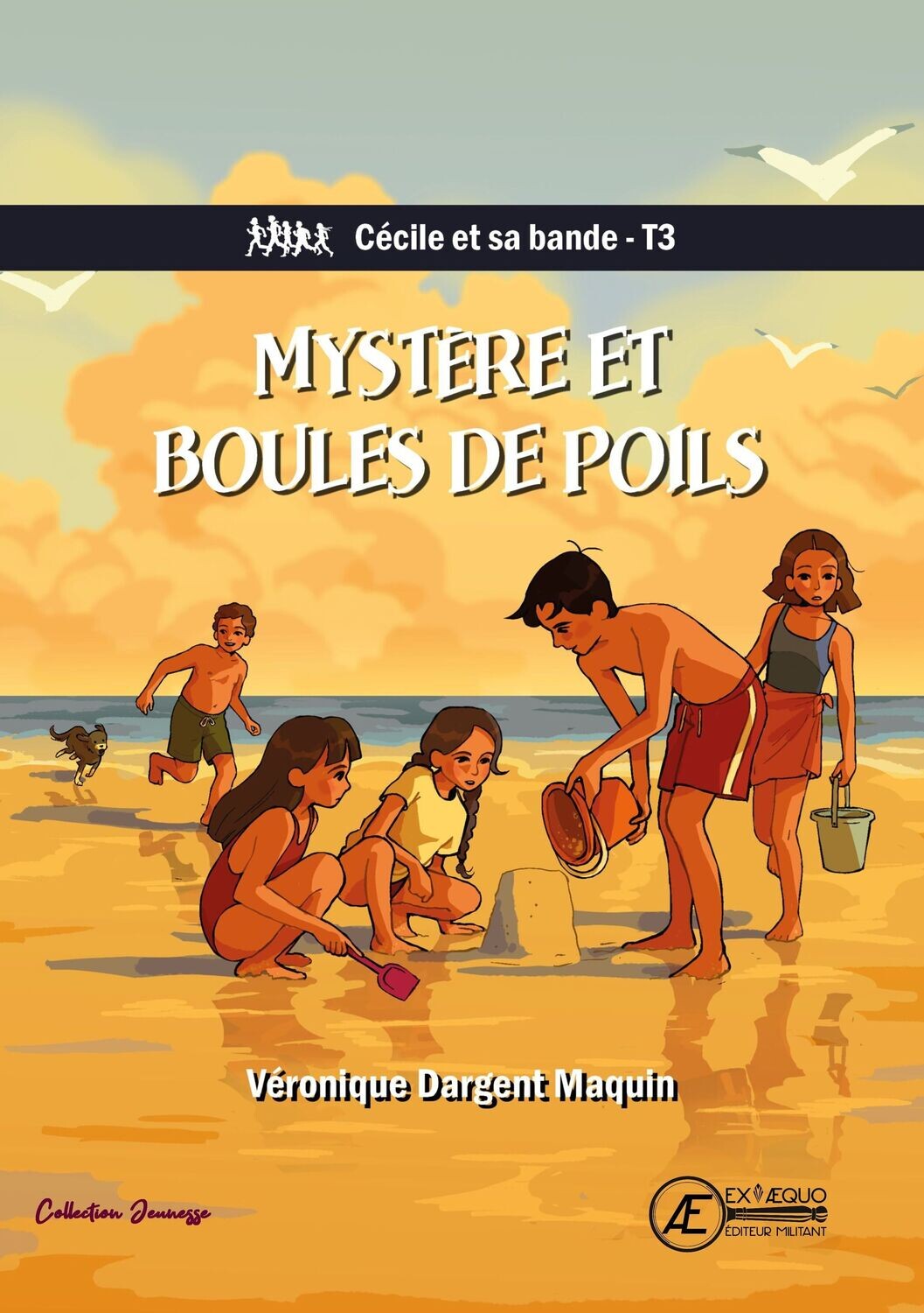 Couverture de Mystère et boules de poils, de Véronique Dargent Maquin