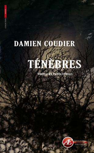 Couverture de Ténèbres, de Damien Coudier