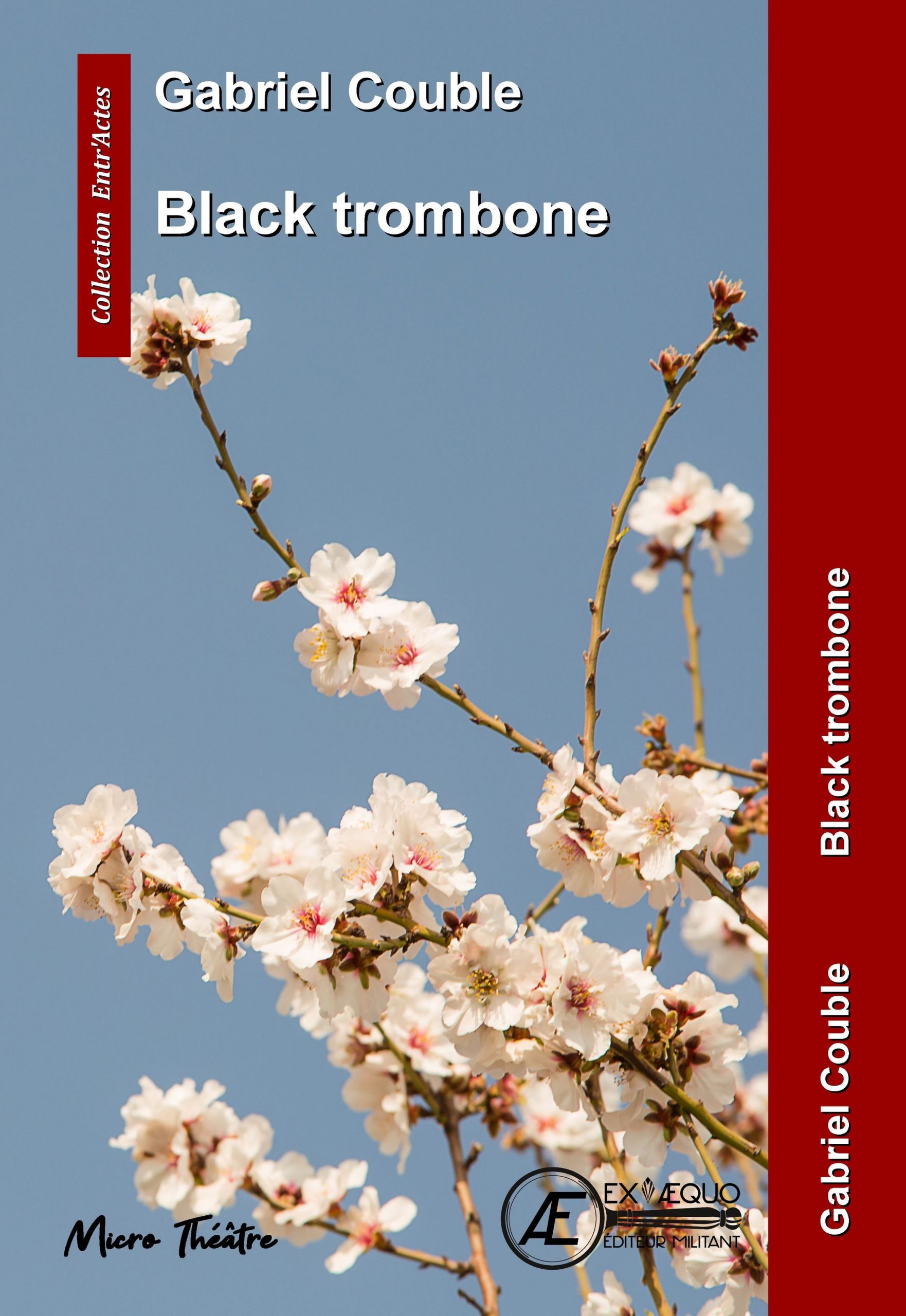 Couverture de Black trombone