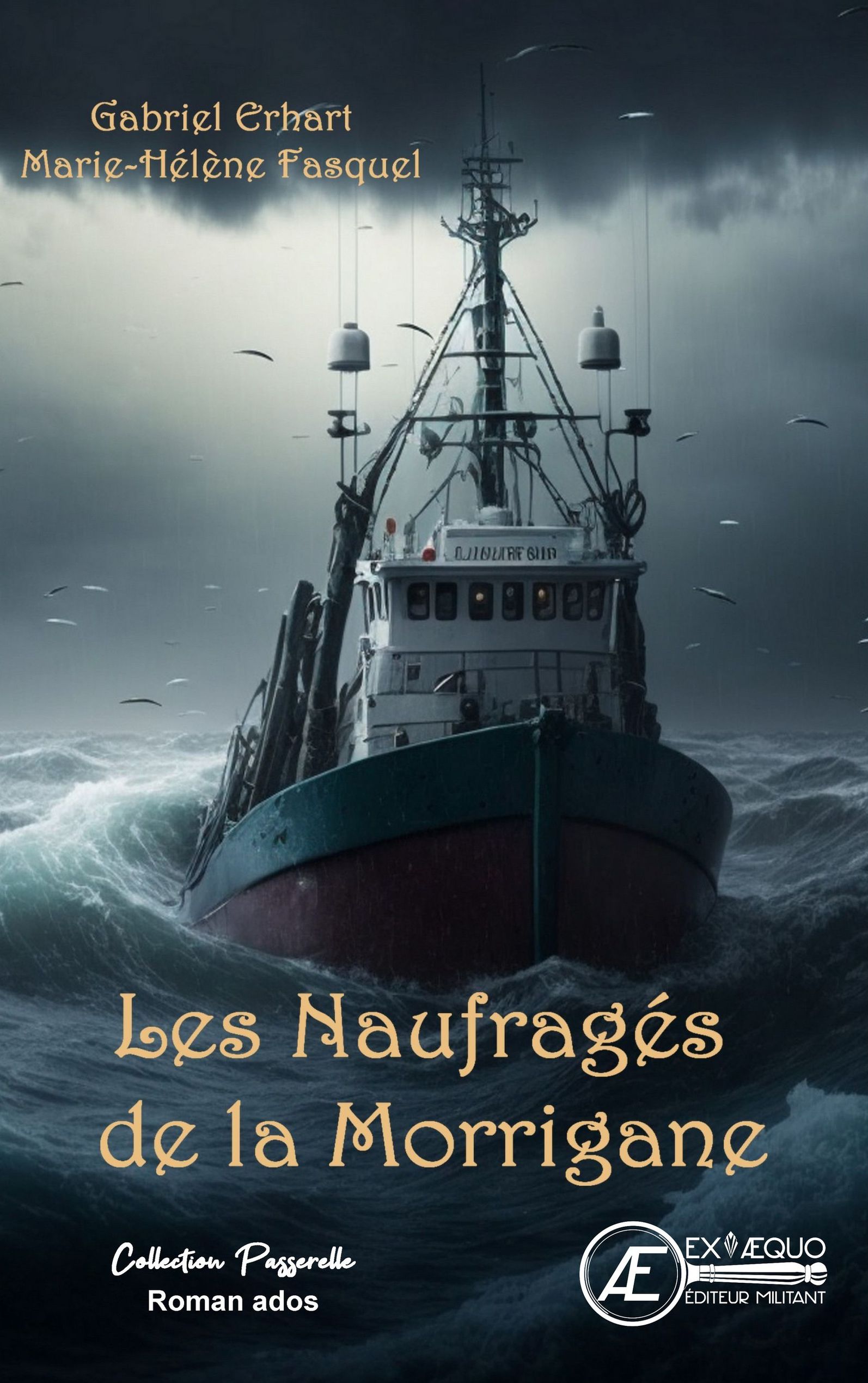 Couverture de Les naufragés de la Morrigane