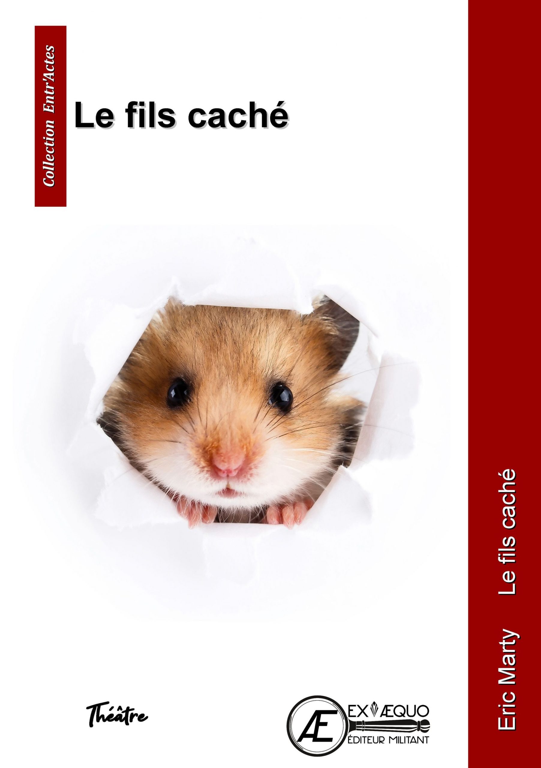 Couverture de Le fils caché
