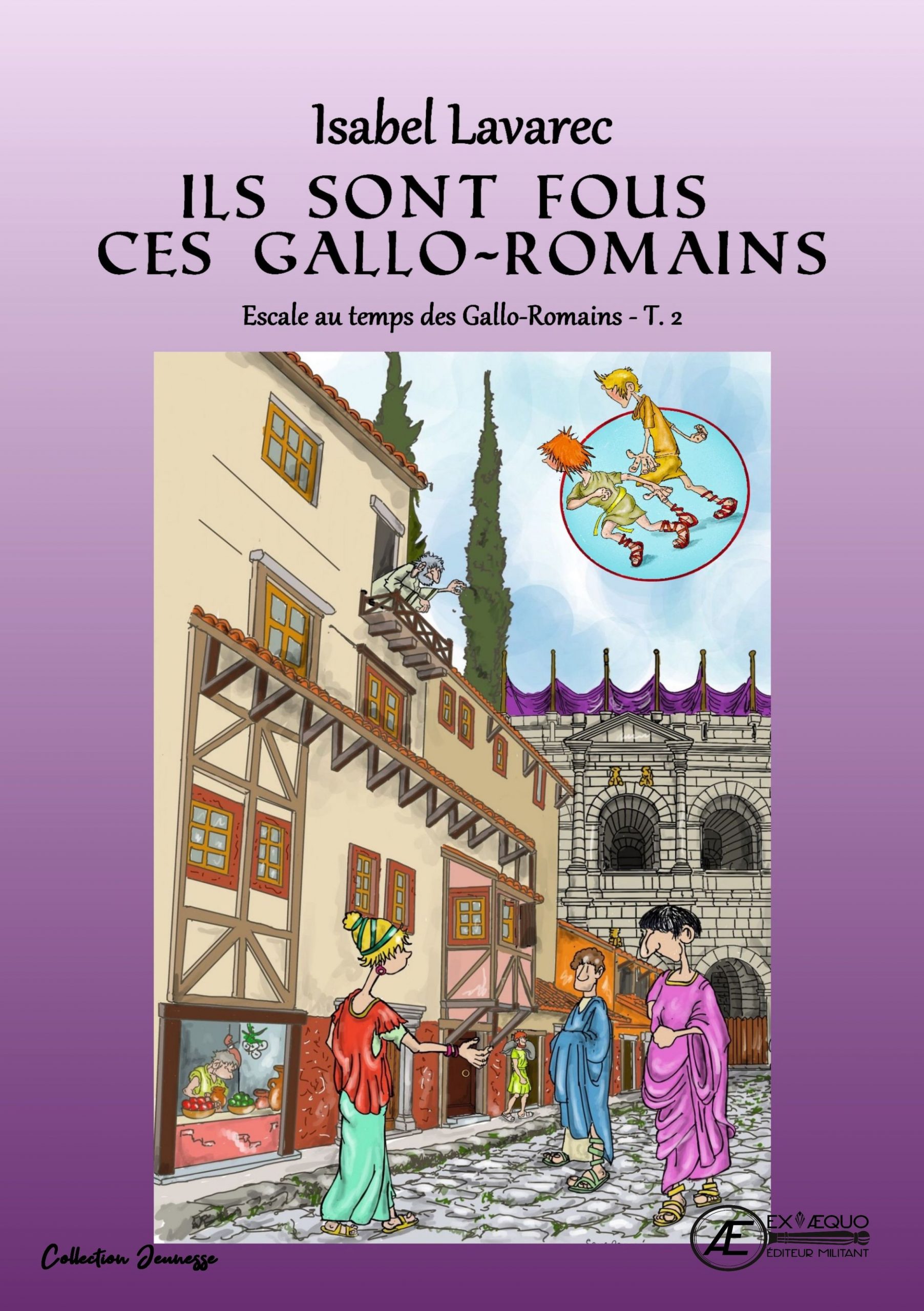 Couverture de Ils sont fous ces gallo-romains