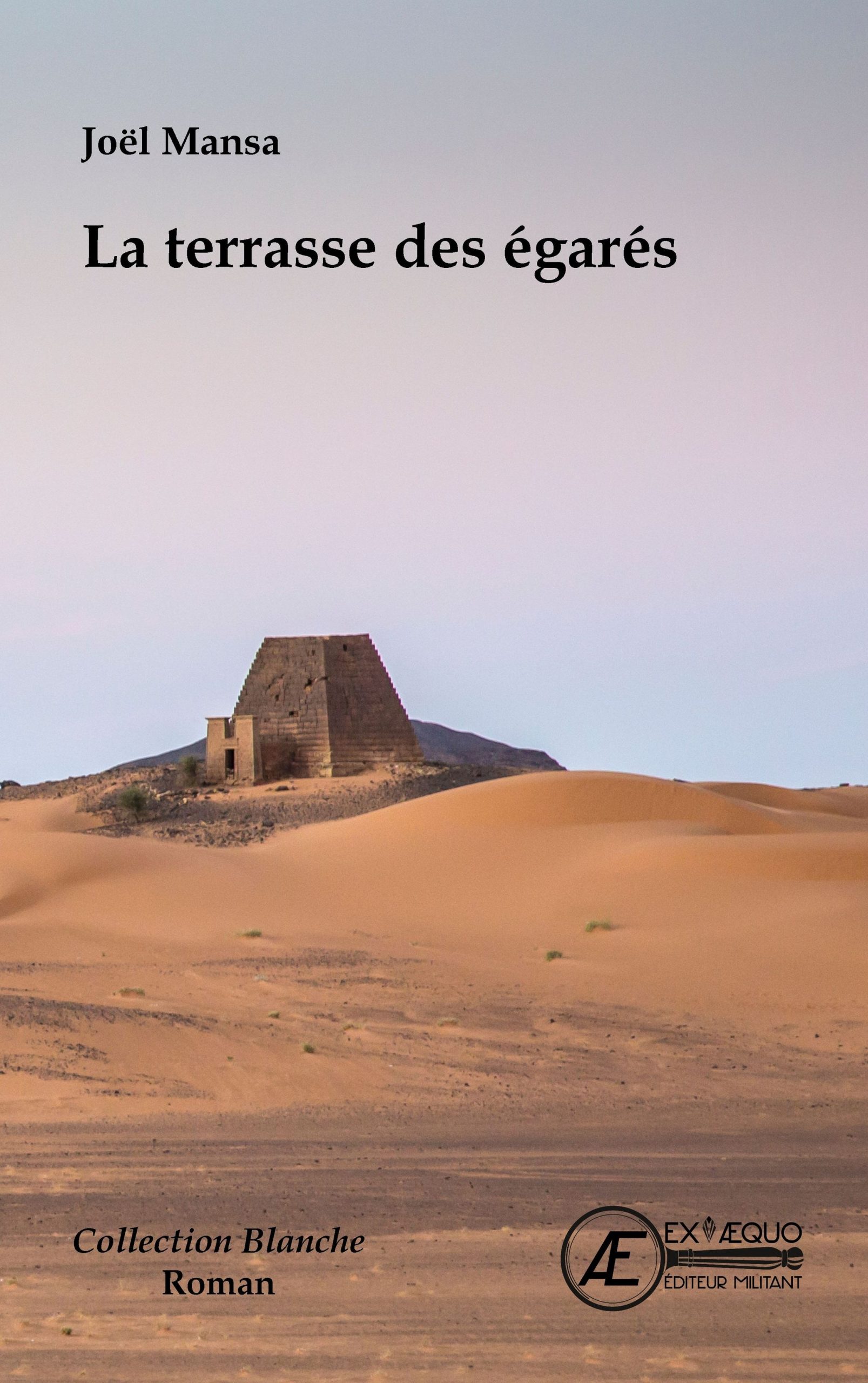 Couverture de La terrasse des égarés