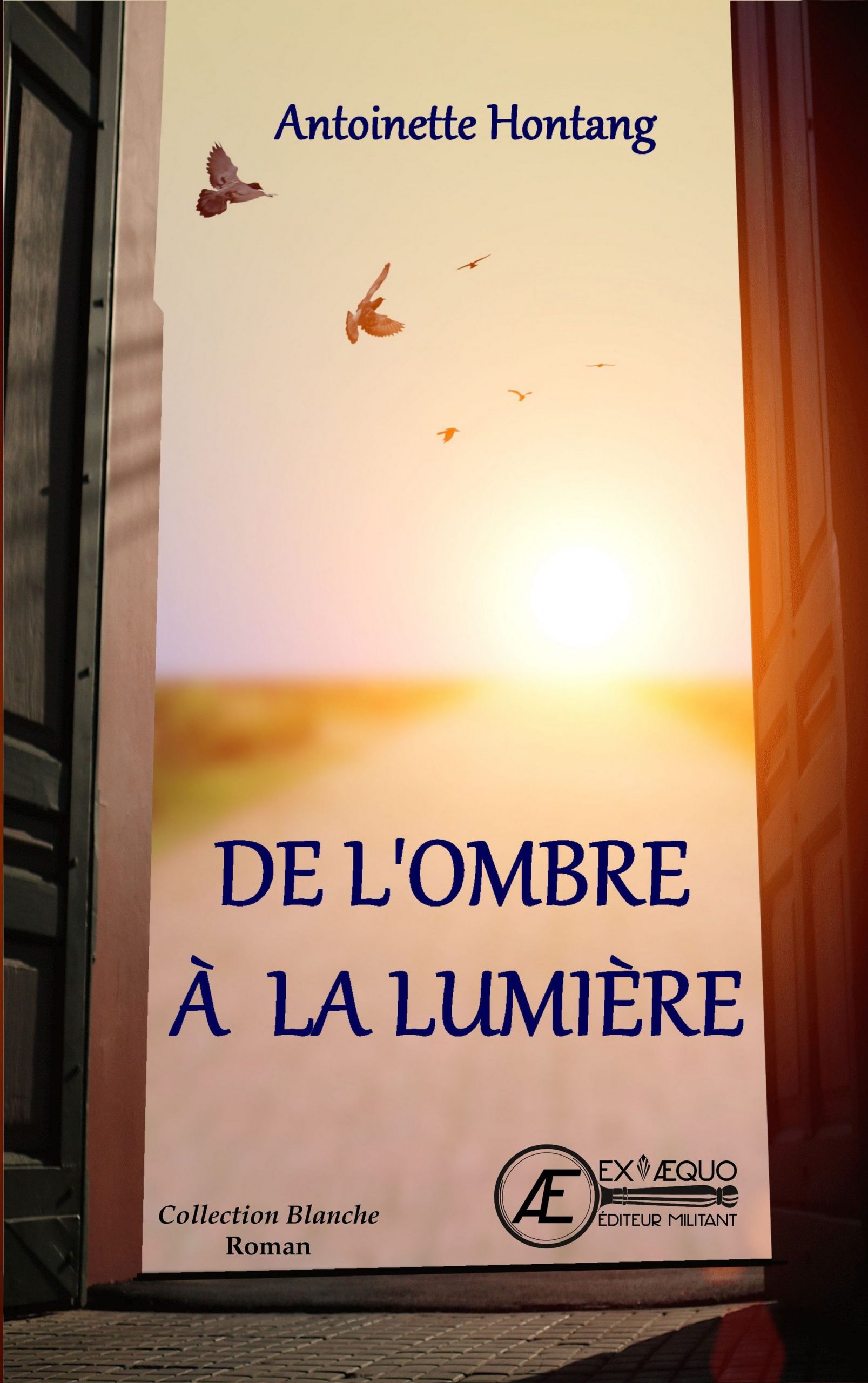 Couverture de De l&rsquo;ombre à la lumière