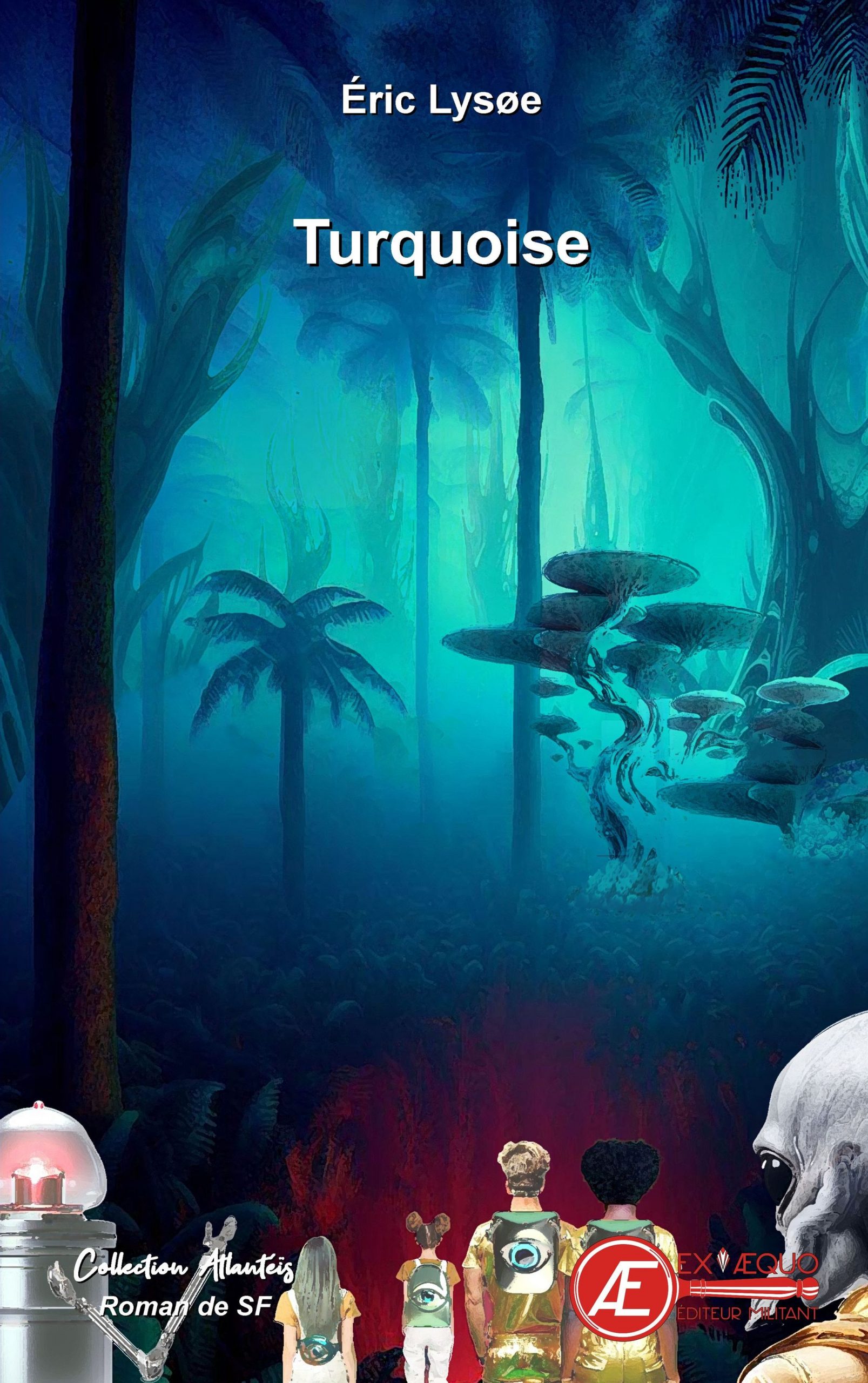 Couverture de Turquoise