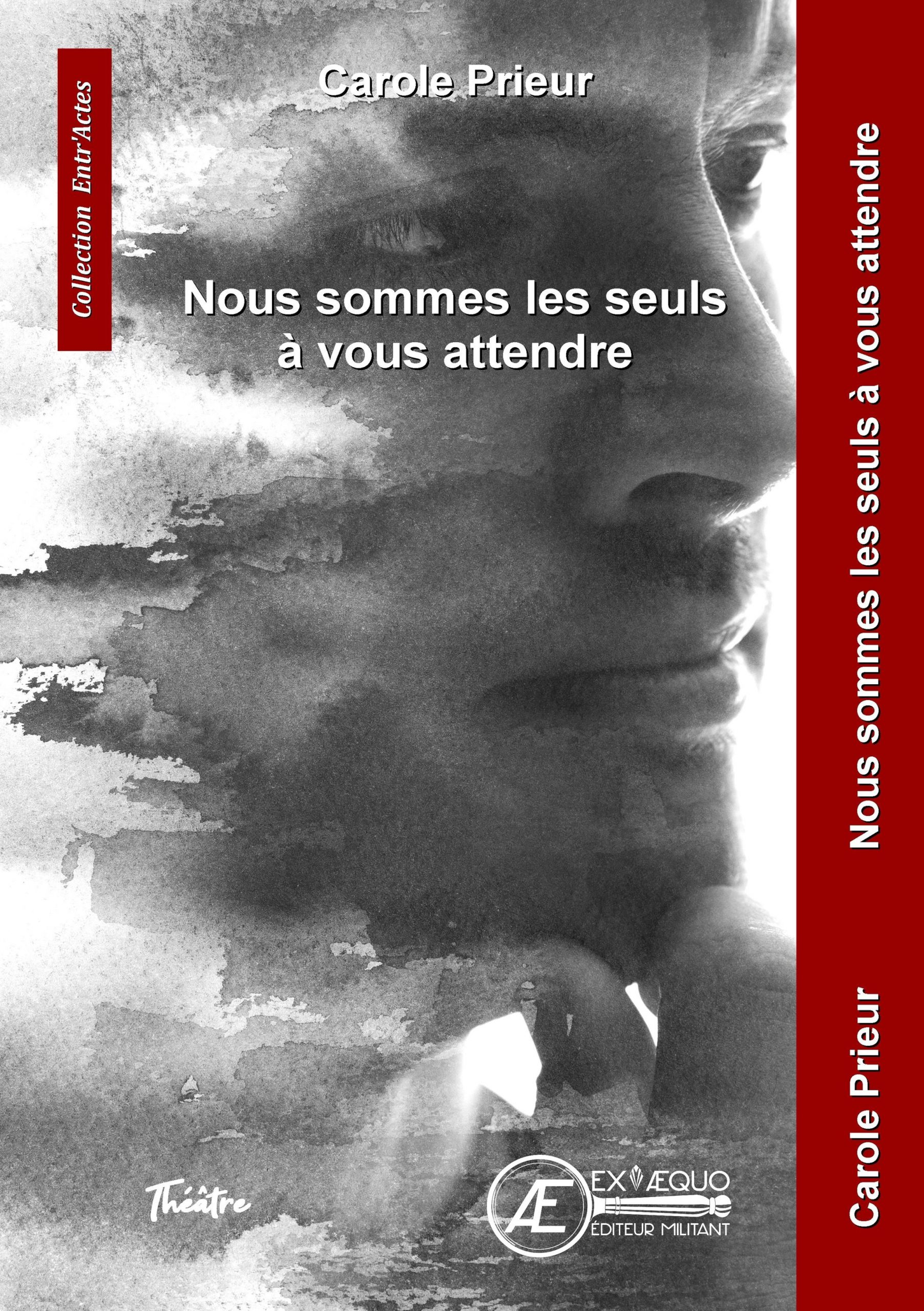Couverture de Nous sommes les seuls à vous attendre