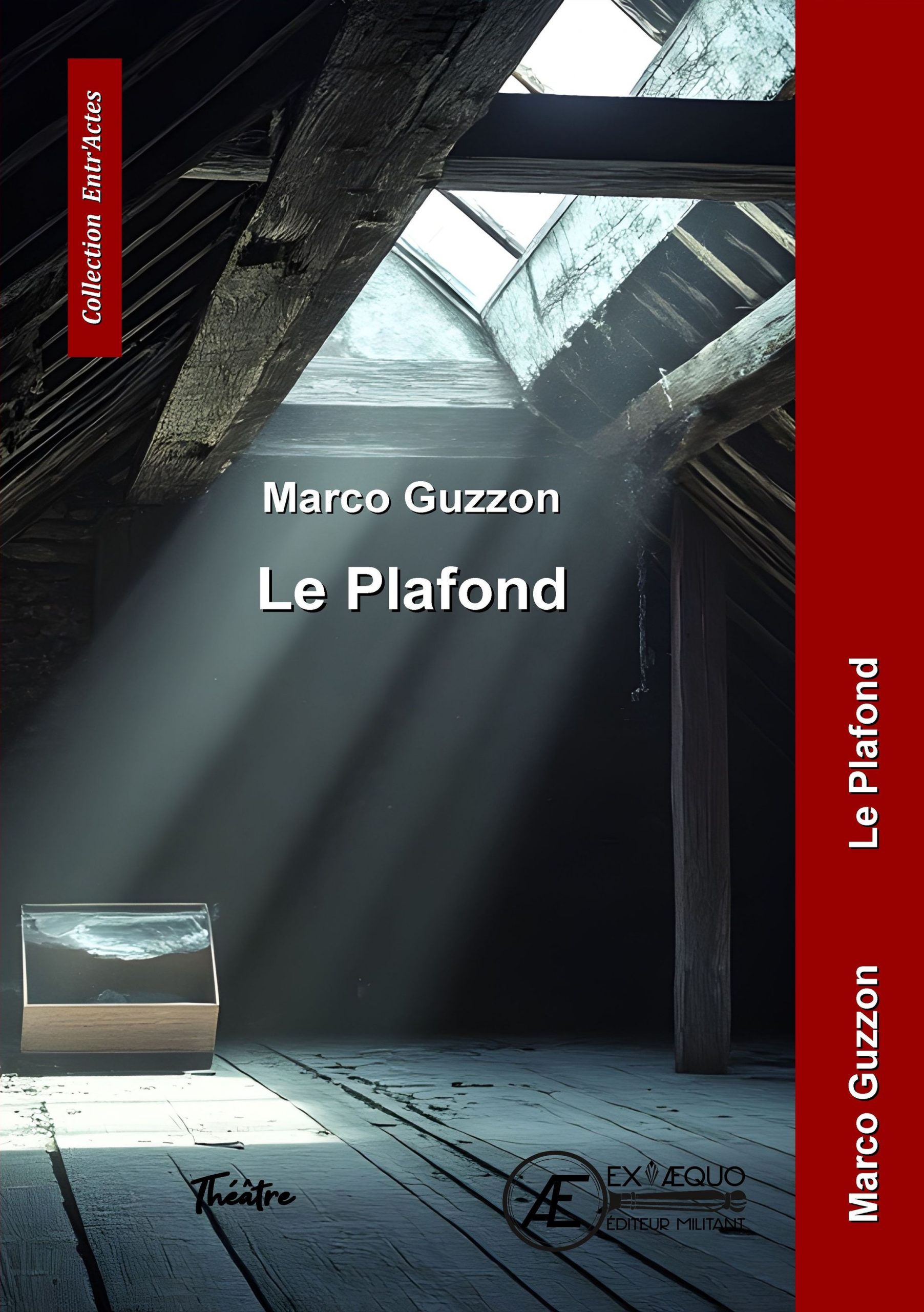 Couverture de Le Plafond