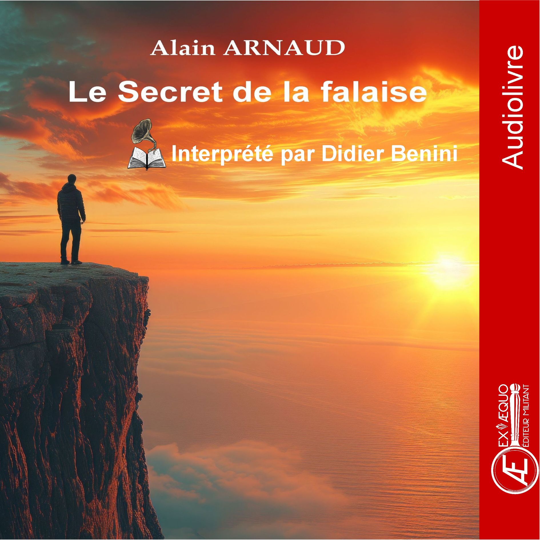 Couverture de Le Secret de la Falaise – Audiolivre