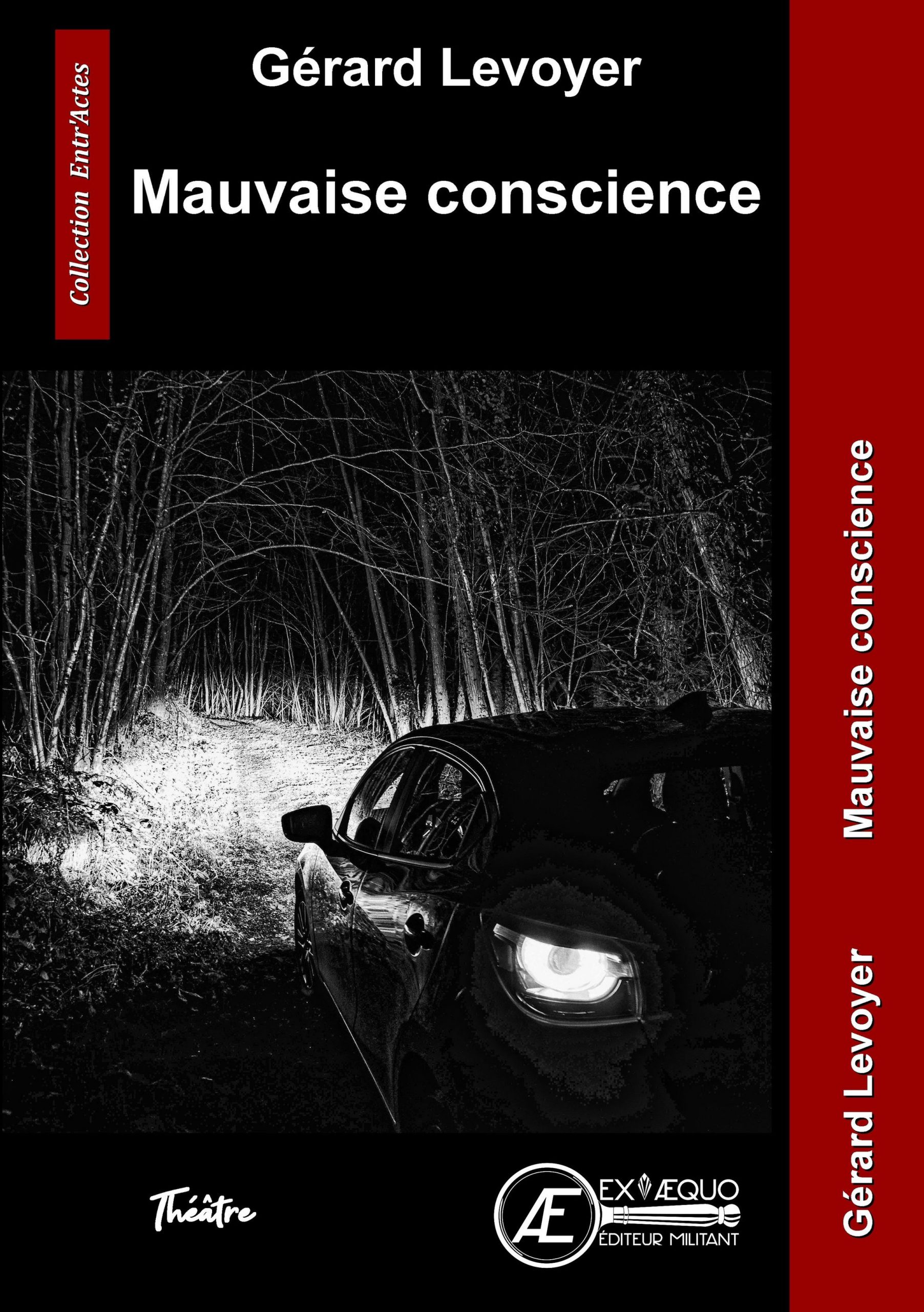 Couverture de Mauvaise conscience