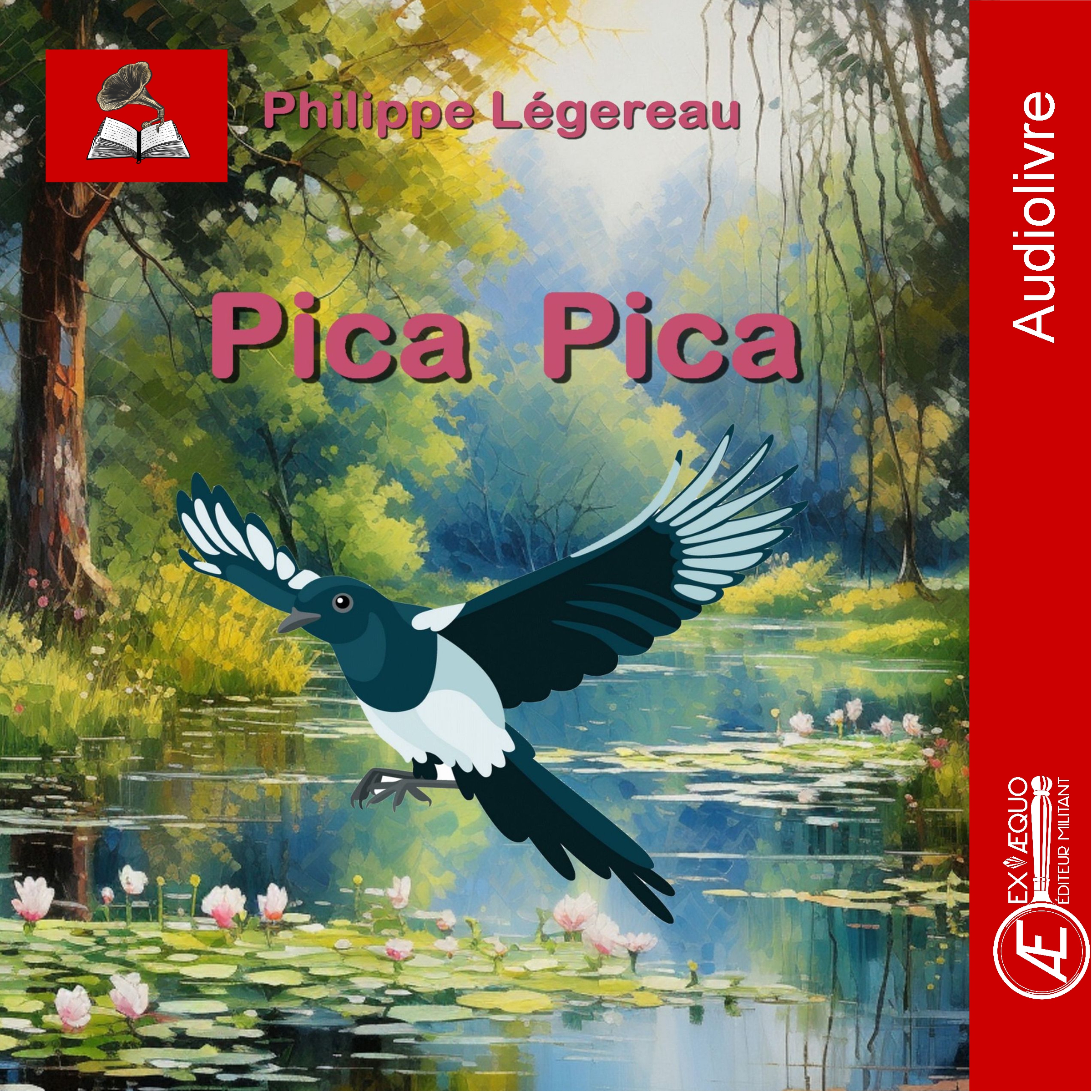 Couverture de Pica Pica – Audiolivre