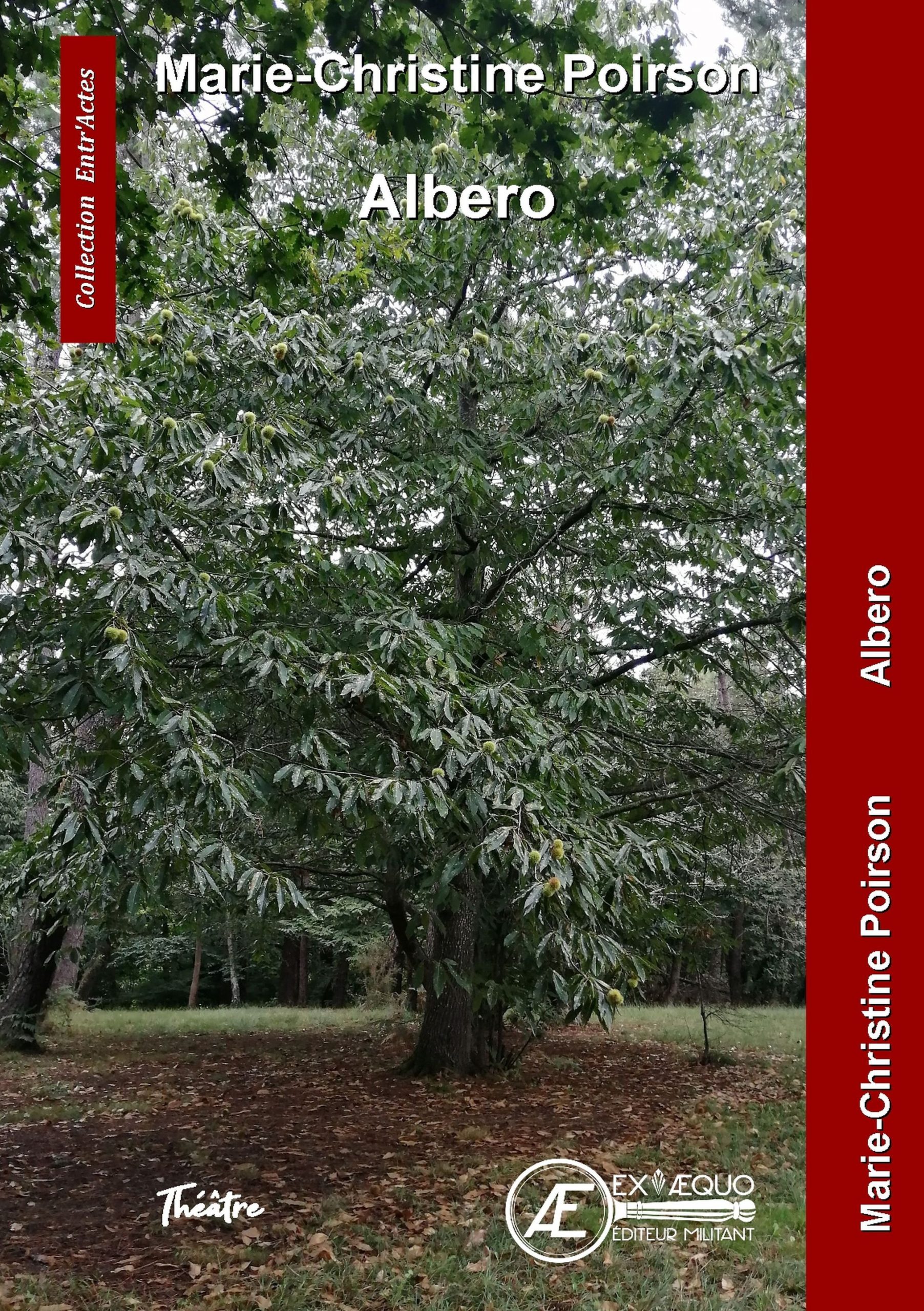Couverture de Albero